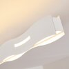 Nagold Lampa Sufitowa LED Biały, 1-punktowy