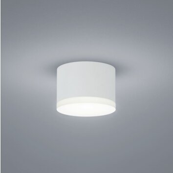 Helestra PALA lampa sufitowa LED Biały, 1-punktowy