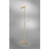 Paul Neuhaus ARTUR Lampa Stojąca LED Mosiądz, 1-punktowy