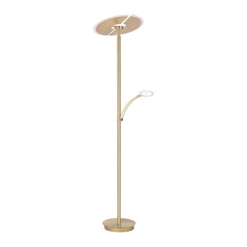 Paul Neuhaus ARTUR Lampa Stojąca LED Mosiądz, 1-punktowy