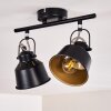 Safari Lampa Sufitowa Czarny, 2-punktowe