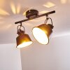 Safari Lampa Sufitowa Czarny, 2-punktowe