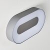 Zewnętrzny kinkiet Felsted LED Srebrny, 1-punktowy