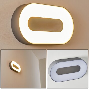 Zewnętrzny kinkiet Felsted LED Srebrny, 1-punktowy