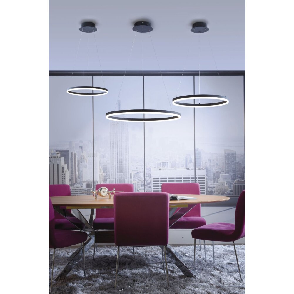 Paul Neuhaus TITUS Lampa Wisząca LED Antracytowy, 1-punktowy main product photo