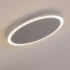 Aitrach Lampa Sufitowa LED Srebrny, Biały, 1-punktowy