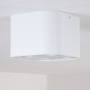 Baishan Lampa Sufitowa biały, 4-punktowe