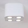 Baishan Lampa Sufitowa biały, 4-punktowe