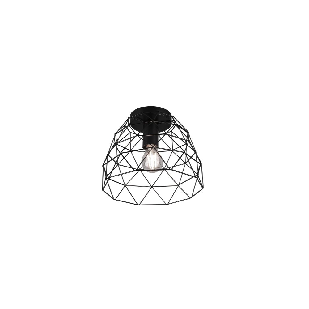 Reality Haval Lampa Sufitowa Czarny, 1-punktowy main product photo