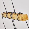 Barbengo Lampa Wisząca czarny, 4-punktowe