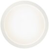 Brilliant Abie Lampa Sufitowa LED Biały, 1-punktowy, Zdalne sterowanie, Zmieniacz kolorów