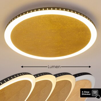 Aitrach Lampa Sufitowa LED Złoty, Biały, 1-punktowy