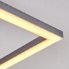 Lithgow Lampa Sufitowa LED Srebrny, 1-punktowy