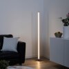Leuchten-Direkt BELLA Lampa Stojąca LED Stal nierdzewna, 1-punktowy