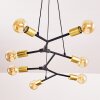Coppet Lampa Wisząca Czarno-złoty, 7-punktowe