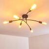 Duvin Lampa Sufitowa Czarny, 6-punktowe
