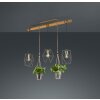 Trio Plant Lampa Wisząca LED ciemnobrązowy, nikiel matowy, 3-punktowe
