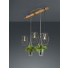 Trio Plant Lampa Wisząca LED ciemnobrązowy, nikiel matowy, 3-punktowe