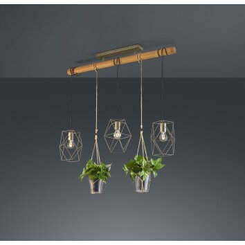 Trio Plant Lampa Wisząca LED Ciemnobrązowy, Nikiel matowy, 3-punktowe