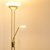 Biot lampa stojąca oświetlająca sufit LED Stary mosiądz, 2-punktowe