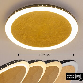 Aitrach Lampa Sufitowa LED Złoty, 1-punktowy