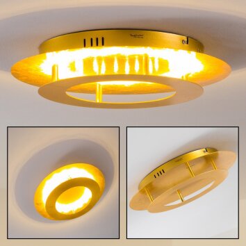 Springdale lampa sufitowa LED Złoty, 1-punktowy