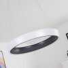 Mackay Lampa Sufitowa LED Antracytowy, Biały, 1-punktowy, Zdalne sterowanie