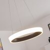 Mackay Lampa Sufitowa LED Antracytowy, Biały, 1-punktowy, Zdalne sterowanie