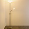 Biot lampa stojąca oświetlająca sufit LED Nikiel matowy, 2-punktowe