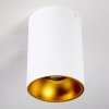 Lampa Sufitowa Grenada Złoty, Biały, 1-punktowy