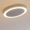 Aitrach Lampa Sufitowa LED Srebrny, 1-punktowy