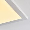 Barasat Lampa Sufitowa LED Biały, 1-punktowy