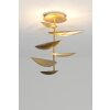 Holländer MASCOTTE Lampa Sufitowa LED Złoty, 6-punktowe