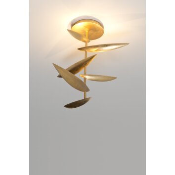 Holländer MASCOTTE Lampa Sufitowa LED Złoty, 6-punktowe