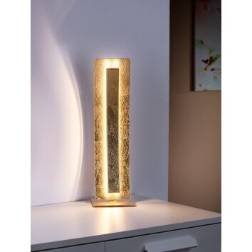 Paul Neuhaus NEVIS Lampa stołowa LED Złoty, 1-punktowy