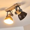 Lampa Sufitowa Orny Antracytowy, Jasne drewno, 2-punktowe