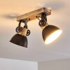 Lampa Sufitowa Orny Antracytowy, Jasne drewno, 2-punktowe