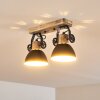 Lampa Sufitowa Orny Antracytowy, Jasne drewno, 2-punktowe