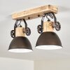 Lampa Sufitowa Orny Antracytowy, Jasne drewno, 2-punktowe