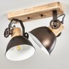 Lampa Sufitowa Orny Antracytowy, Jasne drewno, 2-punktowe