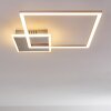 Chilkat Lampa Sufitowa LED Nikiel matowy, 1-punktowy