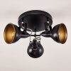 Tina Lampa Sufitowa Czarny, 3-punktowe