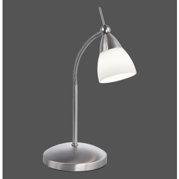 Paul Neuhaus PINO Lampa stołowa LED Stal nierdzewna, 1-punktowy