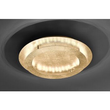 Paul Neuhaus NEVIS Lampa Sufitowa LED Złoty, 4-punktowe