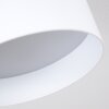 Baraboo Lampa Sufitowa LED Nikiel matowy, 2-punktowe