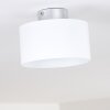 Baraboo Lampa Sufitowa LED Nikiel matowy, 2-punktowe