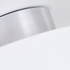 Baraboo Lampa Sufitowa LED Nikiel matowy, 2-punktowe