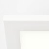 Brilliant Buffi panel natynkowy LED Biały, 1-punktowy