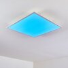 Antria Lampa Sufitowa LED Biały, 1-punktowy, Zmieniacz kolorów