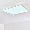 Antria Lampa Sufitowa LED Biały, 1-punktowy, Zmieniacz kolorów